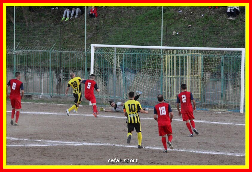 181111 Cepha_Milazzo 276_tn.JPG
